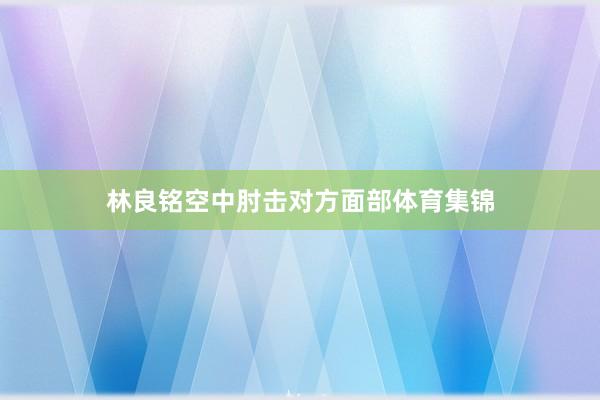 林良铭空中肘击对方面部体育集锦