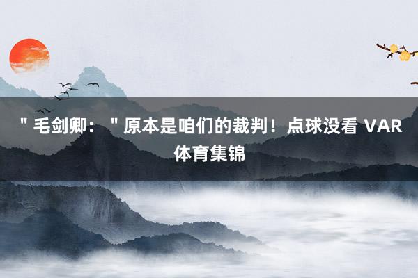 ＂毛剑卿：＂原本是咱们的裁判！点球没看 VAR体育集锦