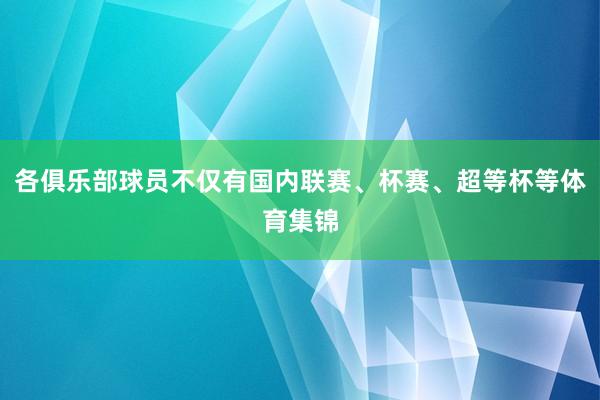各俱乐部球员不仅有国内联赛、杯赛、超等杯等体育集锦