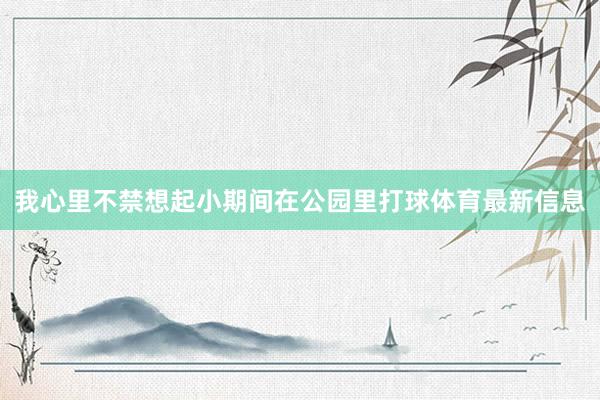 我心里不禁想起小期间在公园里打球体育最新信息