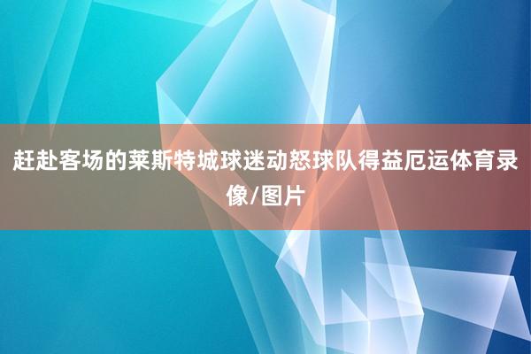 赶赴客场的莱斯特城球迷动怒球队得益厄运体育录像/图片