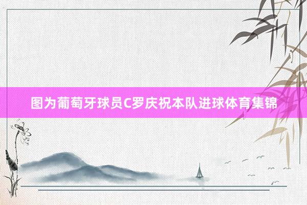图为葡萄牙球员C罗庆祝本队进球体育集锦