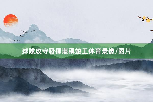 球隊攻守發揮堪稱竣工体育录像/图片