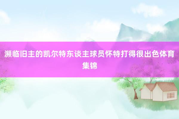 濒临旧主的凯尔特东谈主球员怀特打得很出色体育集锦