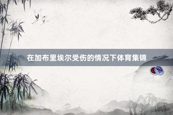 在加布里埃尔受伤的情况下体育集锦