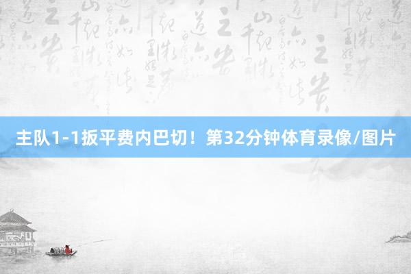 主队1-1扳平费内巴切！第32分钟体育录像/图片