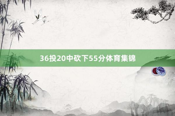 36投20中砍下55分体育集锦