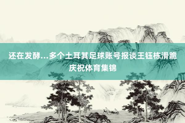 还在发酵...多个土耳其足球账号报谈王钰栋滑跪庆祝体育集锦
