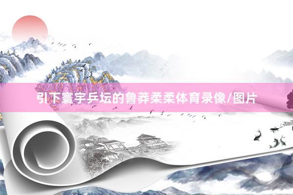 引下寰宇乒坛的鲁莽柔柔体育录像/图片