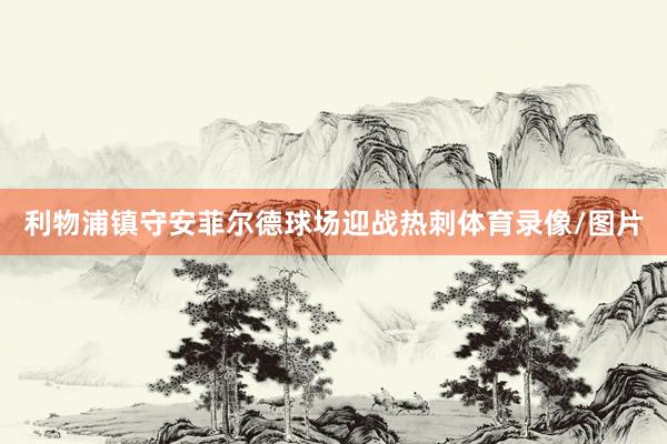 利物浦镇守安菲尔德球场迎战热刺体育录像/图片