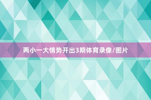 两小一大情势开出3期体育录像/图片