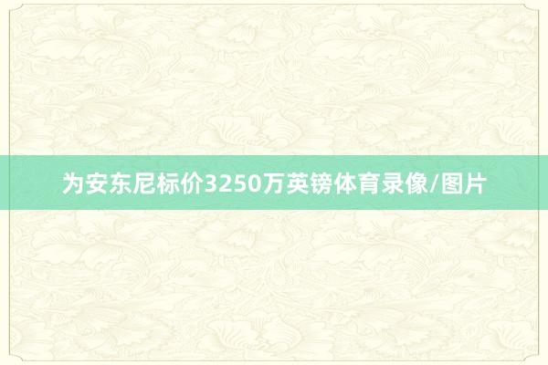 为安东尼标价3250万英镑体育录像/图片