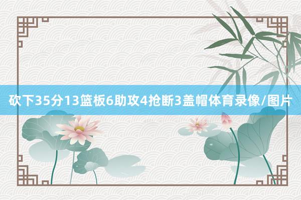 砍下35分13篮板6助攻4抢断3盖帽体育录像/图片