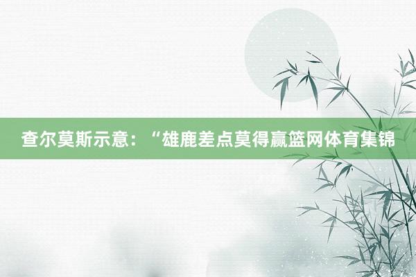 查尔莫斯示意：“雄鹿差点莫得赢篮网体育集锦