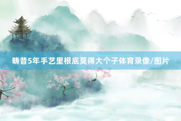 畴昔5年手艺里根底莫得大个子体育录像/图片