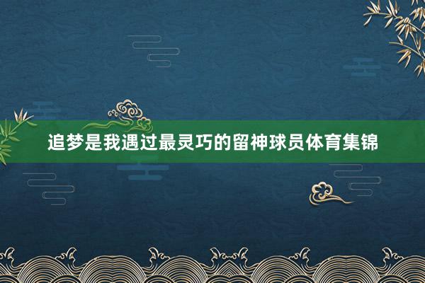 追梦是我遇过最灵巧的留神球员体育集锦