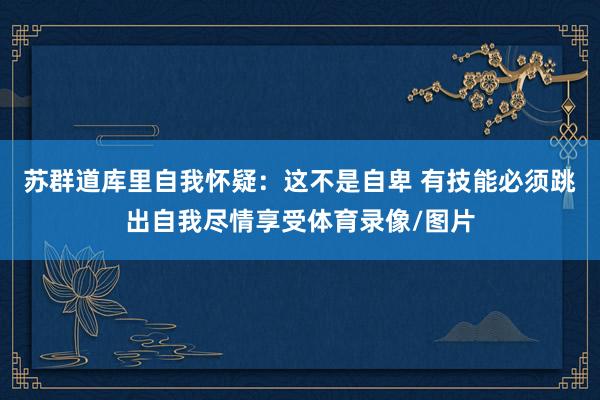 苏群道库里自我怀疑：这不是自卑 有技能必须跳出自我尽情享受体育录像/图片