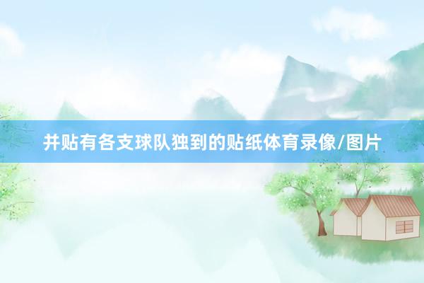 并贴有各支球队独到的贴纸体育录像/图片