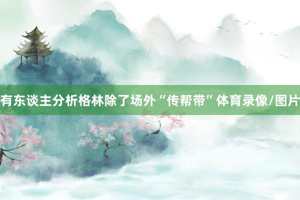 有东谈主分析格林除了场外“传帮带”体育录像/图片
