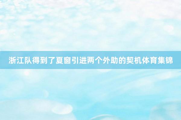 浙江队得到了夏窗引进两个外助的契机体育集锦