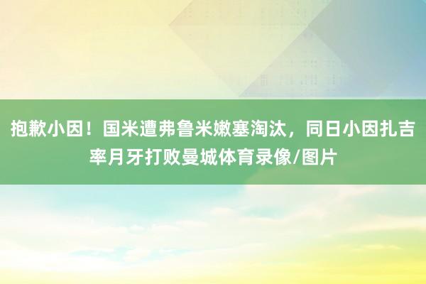 抱歉小因！国米遭弗鲁米嫩塞淘汰，同日小因扎吉率月牙打败曼城体育录像/图片