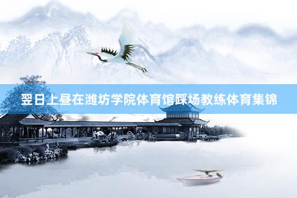 翌日上昼在潍坊学院体育馆踩场教练体育集锦