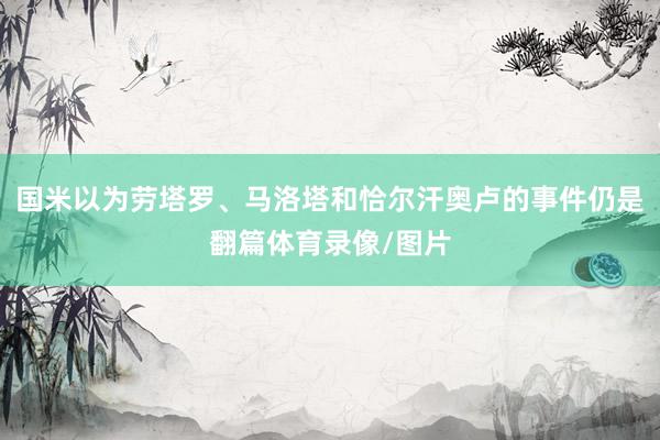 国米以为劳塔罗、马洛塔和恰尔汗奥卢的事件仍是翻篇体育录像/图片
