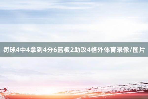 罚球4中4拿到4分6篮板2助攻4格外体育录像/图片