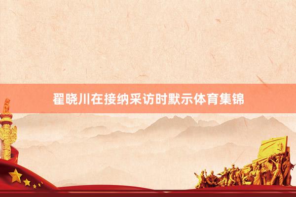 翟晓川在接纳采访时默示体育集锦