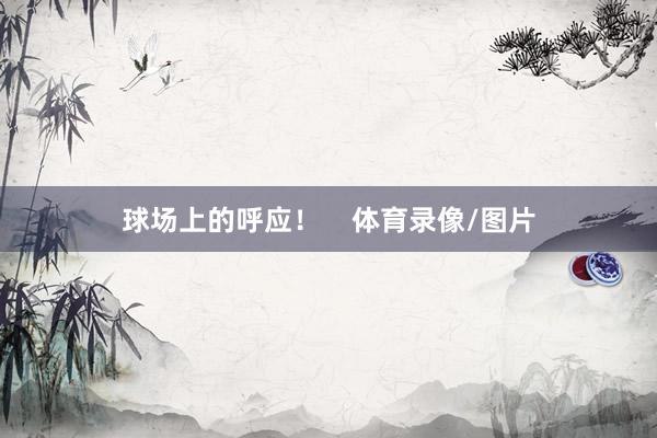 球场上的呼应！    体育录像/图片