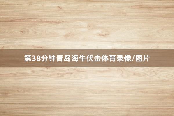 第38分钟青岛海牛伏击体育录像/图片