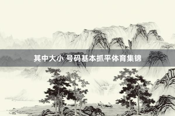 其中大小 号码基本抓平体育集锦