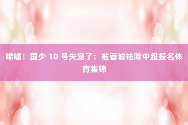 唏嘘！国少 10 号失宠了：被蓉城祛除中超报名体育集锦