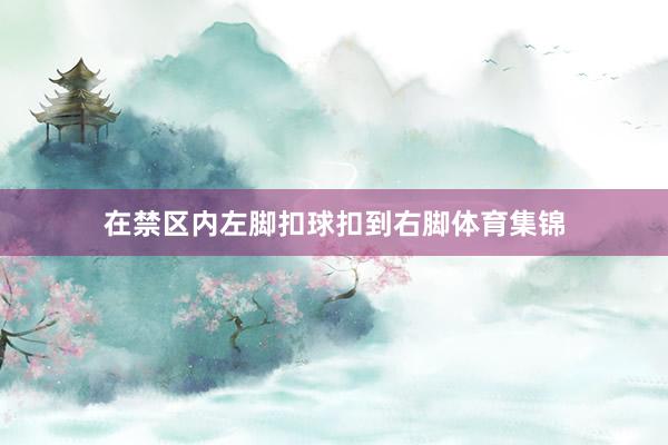 在禁区内左脚扣球扣到右脚体育集锦