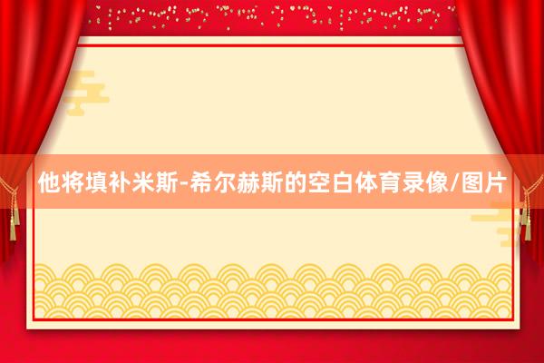 他将填补米斯-希尔赫斯的空白体育录像/图片
