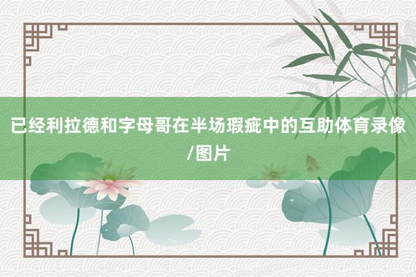 已经利拉德和字母哥在半场瑕疵中的互助体育录像/图片