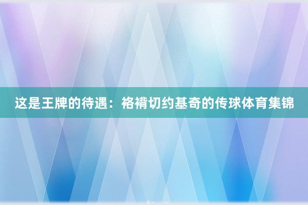 这是王牌的待遇：袼褙切约基奇的传球体育集锦