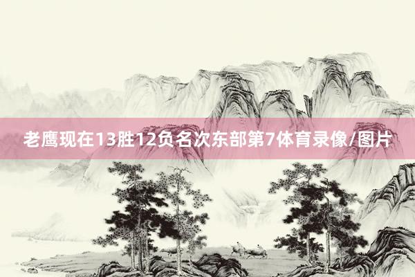 老鹰现在13胜12负名次东部第7体育录像/图片