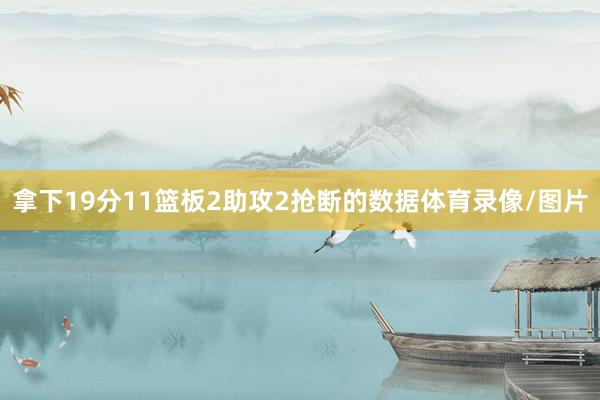 拿下19分11篮板2助攻2抢断的数据体育录像/图片
