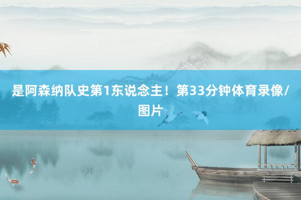 是阿森纳队史第1东说念主！第33分钟体育录像/图片