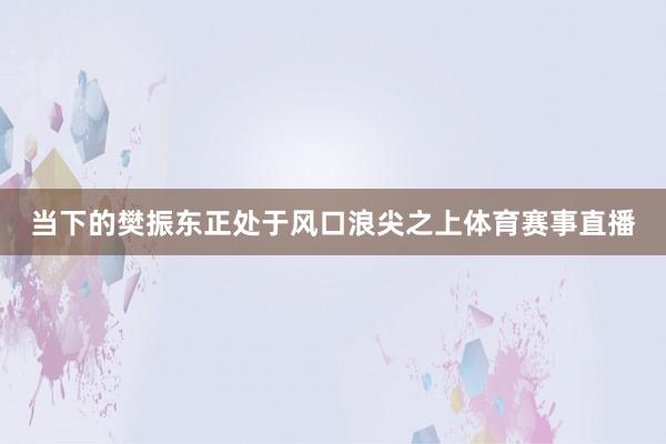 当下的樊振东正处于风口浪尖之上体育赛事直播