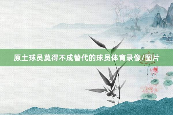 原土球员莫得不成替代的球员体育录像/图片