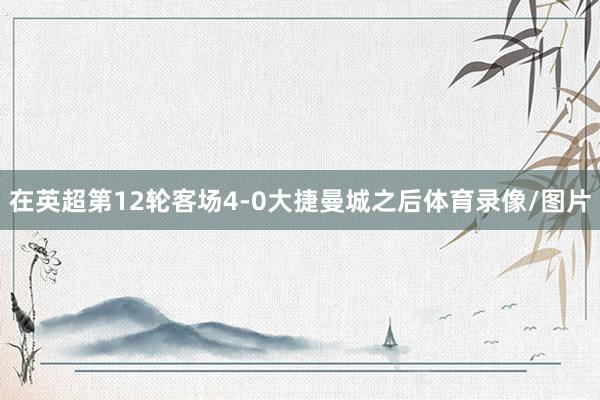 在英超第12轮客场4-0大捷曼城之后体育录像/图片