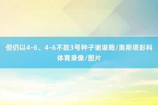 但仍以4-6、4-6不敌3号种子谢淑薇/奥斯塔彭科体育录像/图片