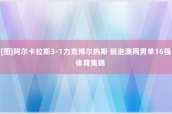 [图]阿尔卡拉斯3-1力克博尔热斯 挺进澳网男单16强    体育集锦