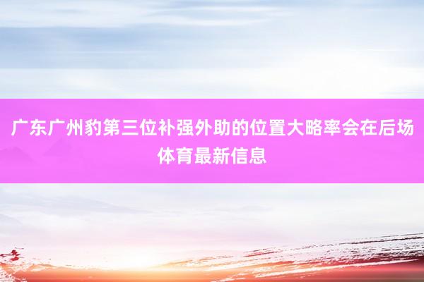 广东广州豹第三位补强外助的位置大略率会在后场体育最新信息