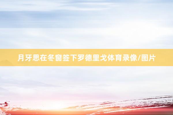 月牙思在冬窗签下罗德里戈体育录像/图片