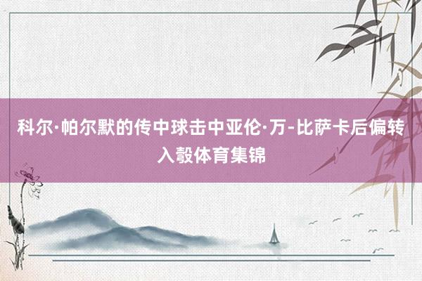科尔·帕尔默的传中球击中亚伦·万-比萨卡后偏转入彀体育集锦