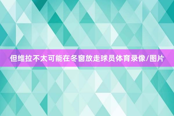 但维拉不太可能在冬窗放走球员体育录像/图片