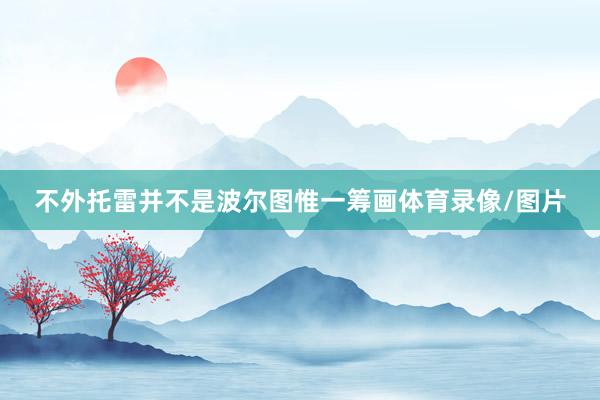 不外托雷并不是波尔图惟一筹画体育录像/图片